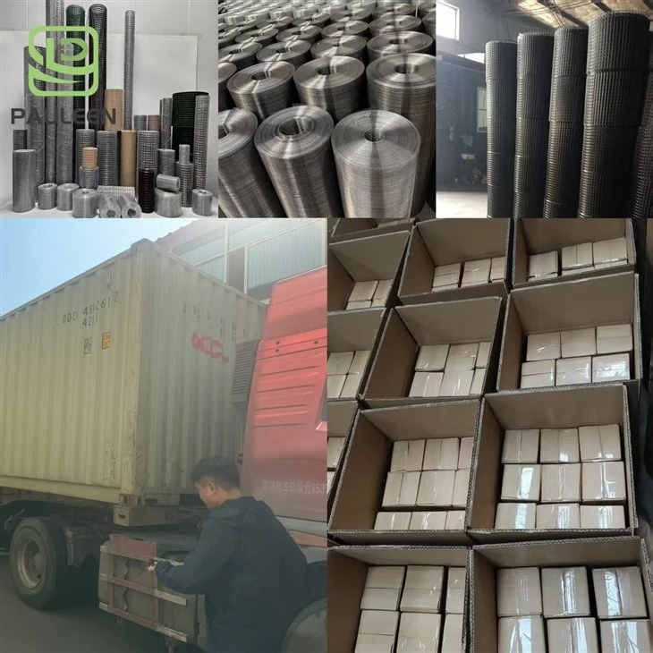 PVC Coated Iron Wire Mesh PVC Coated Iron Wire Mesh